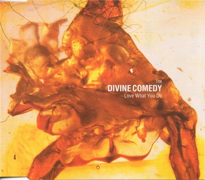 The Divine Comedy - Love What You Do download mp3 flac