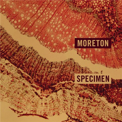 Moreton - Specimen download mp3 flac