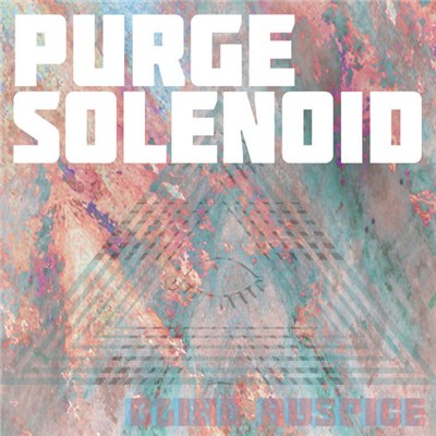 Purge Solenoid - Blind Auspice download mp3 flac