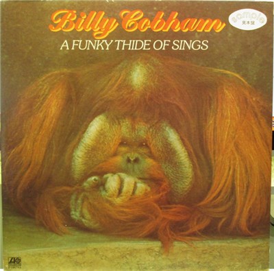 Billy Cobham - A Funky Thide Of Sings download mp3 flac