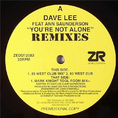 Dave Lee - You're Not Alone (Remixes) download mp3 flac
