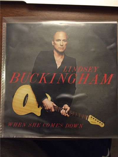 Lindsey Buckingham - When She Comes Down download mp3 flac