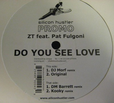 Zion Train - Do You See Love download mp3 flac