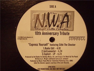 N.W.A. - Straight Outta Compton - 10th Anniversary Tribute download mp3 flac