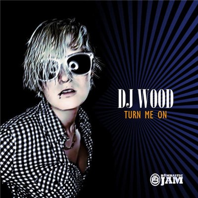 DJ Wood - Turn Me On download mp3 flac