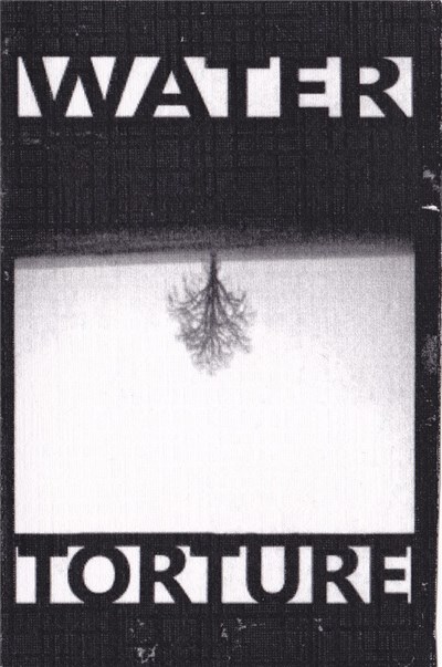 Water Torture - The Developer Remixes download mp3 flac