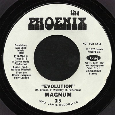 Magnum - Evolution / Your Mind download mp3 flac