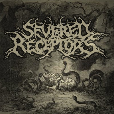 Severed Receptors - Severed Receptors download mp3 flac