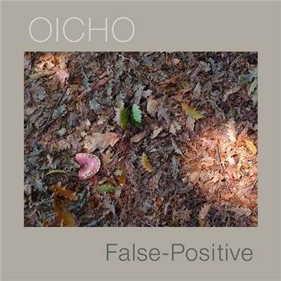 Oicho - False-Positive download mp3 flac