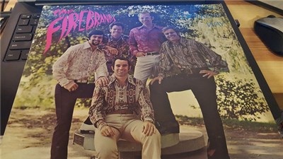 The Firebrands - Found A Different Way To Live My Life download mp3 flac