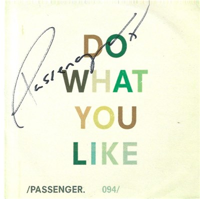 Passenger - Do What You Like download mp3 flac