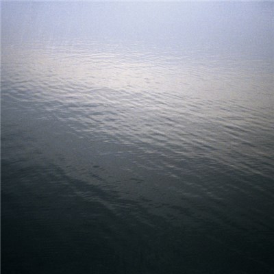 Purl & Deflektion - Rest In You download mp3 flac