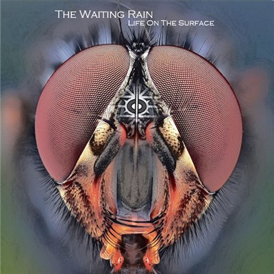 The Waiting Rain - Life on the Surface download mp3 flac