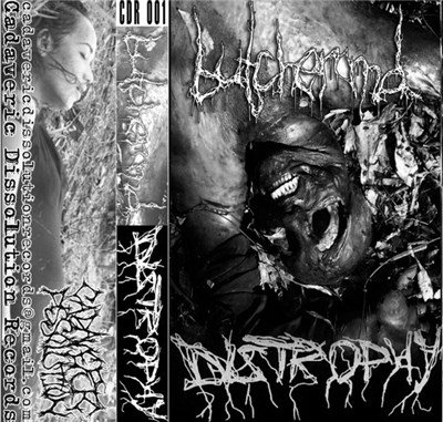 Butcher M.D. / Distrophy - Fistulating Malodorous Mass / Visceral World download mp3 flac