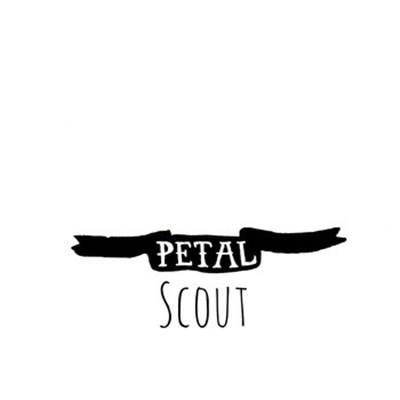 Petal - Scout download mp3 flac
