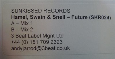 Hamel, Swain & Snell - Future download mp3 flac