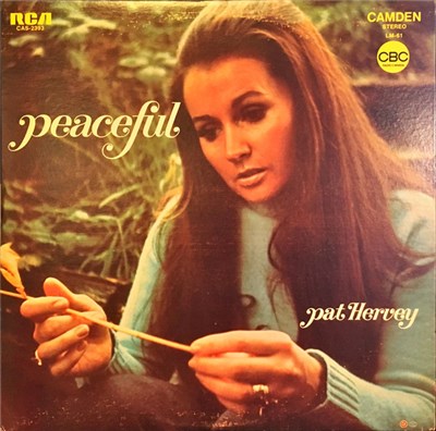 Pat Hervey - Peaceful download mp3 flac