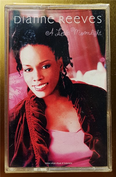 Dianne Reeves - A Little Moonlight download mp3 flac
