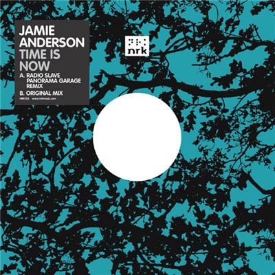 Jamie Anderson - Time Is Now download mp3 flac