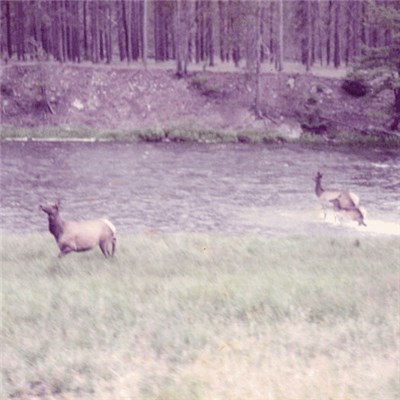 Seahaven - Ghost/Acoustic download mp3 flac