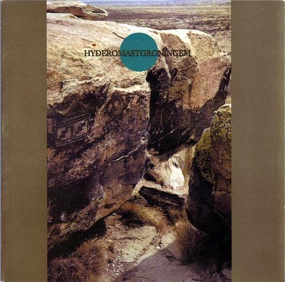 Ruins - Hyderomastgroningem download mp3 flac