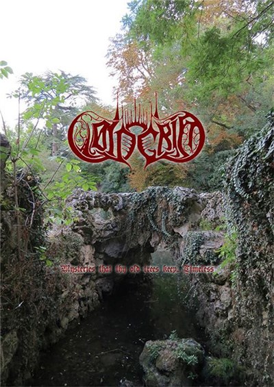 Voin Grim - Mysteries That Thy Old Trees Keep.. Timeless download mp3 flac