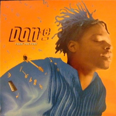 DON-E - Fakin' The Funk download mp3 flac