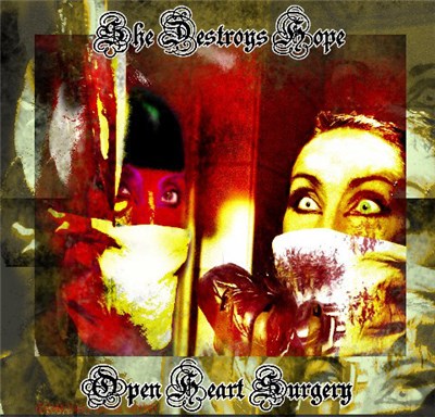 She Destroys Hope - Open Heart Surgery download mp3 flac