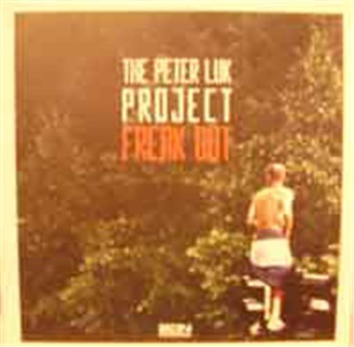 The Peter Luk Project - Freak Out download mp3 flac
