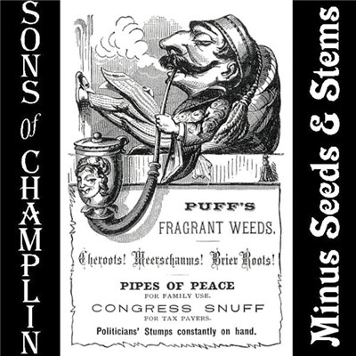 The Sons Of Champlin - Minus Seeds & Stems download mp3 flac