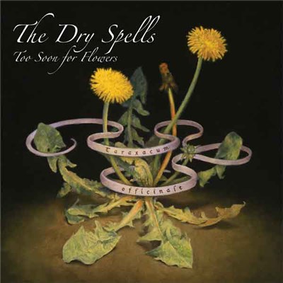 The Dry Spells - Too Soon For Flowers download mp3 flac