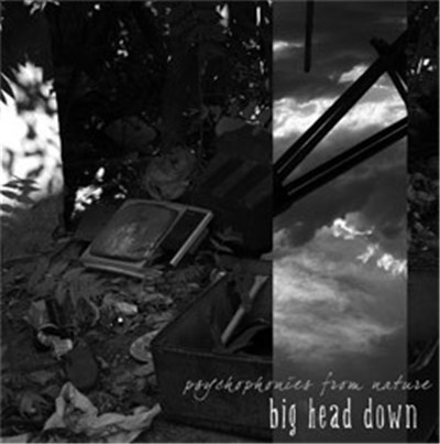 Big Head Down - Psychophonies From Nature download mp3 flac