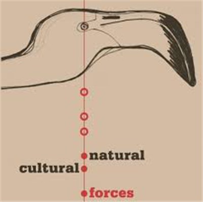 Warren Smith - Natural/Cultural Forces download mp3 flac