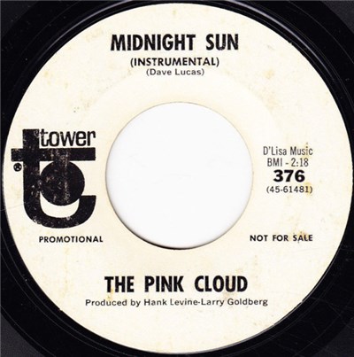 The Pink Cloud - Midnight Sun download mp3 flac