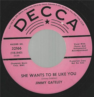 Jimmy Gateley - She Wants To Be Like You download mp3 flac