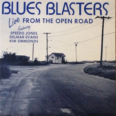 Blues Blasters - Live From The Open Road download mp3 flac