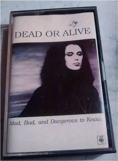 Dead Or Alive - Mad, Bad And Dangerous To Know download mp3 flac
