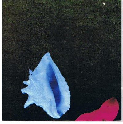 New Order - Touched By The Hand Of God download mp3 flac
