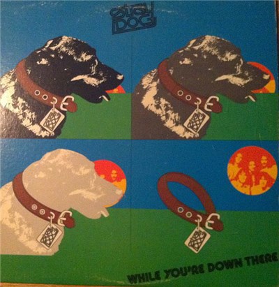 Stray Dog - While You're Down There download mp3 flac