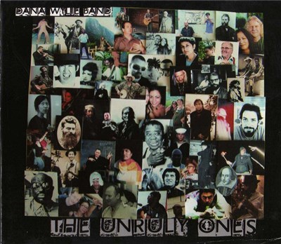 Dana Wylie Band - The Unruly Ones download mp3 flac