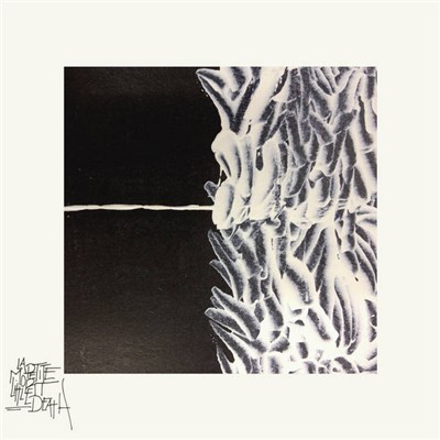 La Petite Mort/Little Death - Dear Reader... download mp3 flac