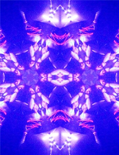 P6, FK Alexander - FK YR​/​SELF AN​/​MAL @ INFERNO BALL, 11​-​12​-​14 download mp3 flac