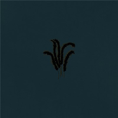 Whimm - A Stare Ajar download mp3 flac