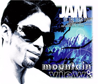The Artist (Formerly Known As Prince) - Mountain View download mp3 flac