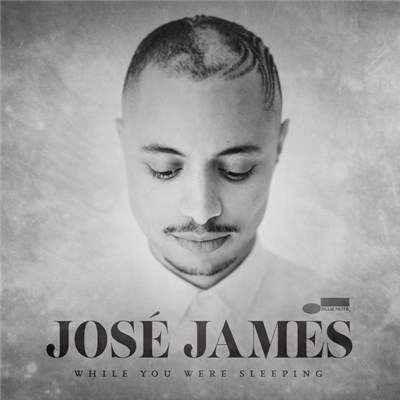 José James - While You Were Sleeping download mp3 flac