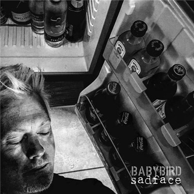 Babybird - Happyface/Sadface download mp3 flac