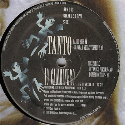 Tanto - Io Camminerò download mp3 flac