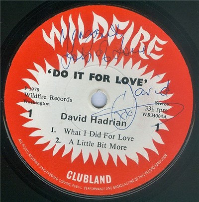 David Hadrian - Do It For Love download mp3 flac