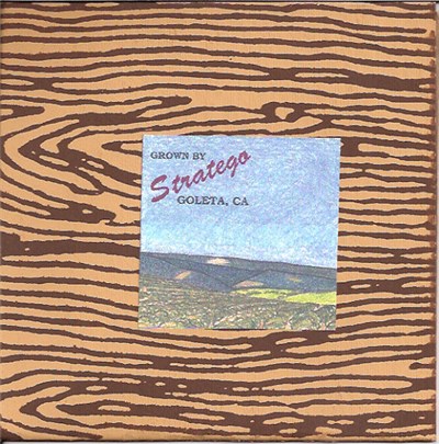 Stratego - Goleta, The Good Land download mp3 flac