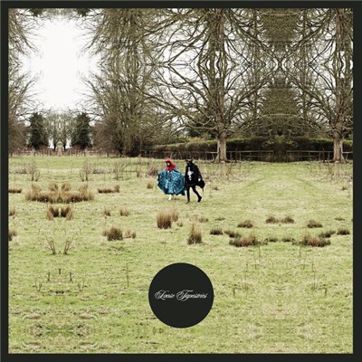 Loose Tapestries - The Luxury Comedy Tapes download mp3 flac
